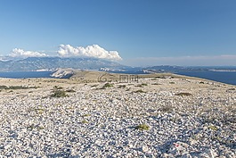 海景,海,野生
