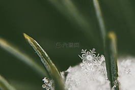 特寫,雪,片
