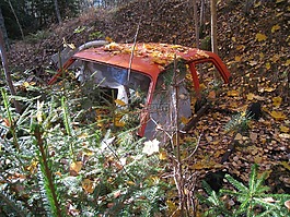 車頂,森林,秋季