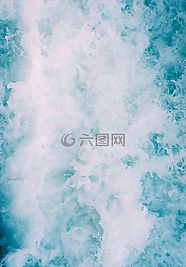 海,海洋,水