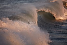 海,海洋,水