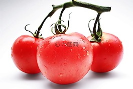 蕃茄,紅色,蔬菜