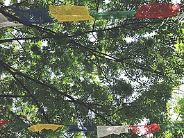 旗,祈禱,和平