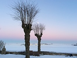 日落,雪,冬天