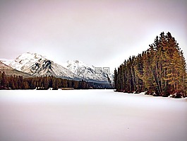 冬季景觀,山,雪