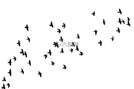 大自然,動(dòng)物,新增功能