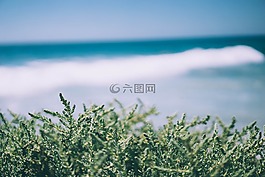 藍色,天空,綠色