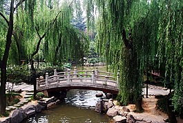 橋,拱,拱型