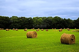 農業,秋,背景