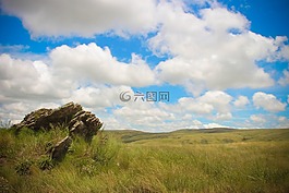 天空,草,藍色
