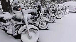 哈雷 戴維森,摩托車(chē),雪