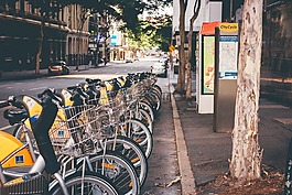 自行車,白天,街