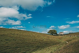 自然,景觀,平原