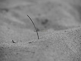 沙,海,海灘