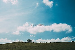 自然,景觀,平原