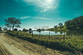 自然,景觀,平原