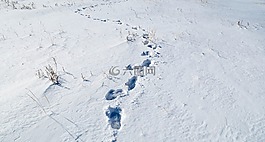雪,腳印,冷