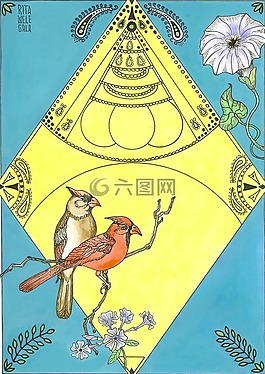 鸟,红衣主教,设计