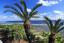 沖繩,藍(lán)色的海,蘇