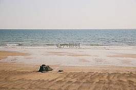 海洋,貝殼,石頭