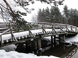芬蘭,橋,溪