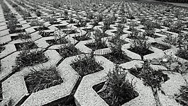 地面,石头,离