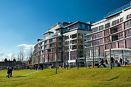 建設(shè),綠草,城市