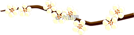 分支,鮮花,白