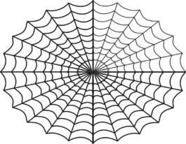 蜘蛛,web,爬行