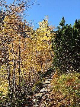 冬奧會,山,秋
