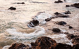 海,海洋,水