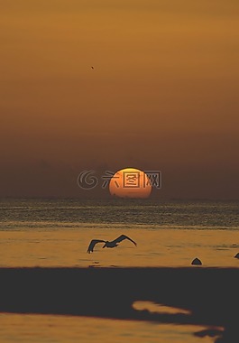 自然,水,海洋