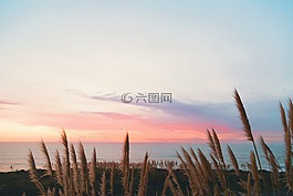 海,海洋,水