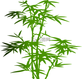 竹,植物,绿色
