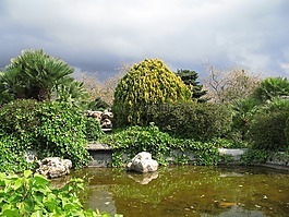 公園,湖,天空