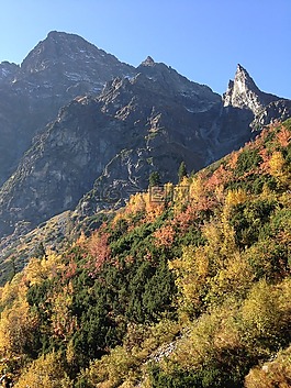冬奧會(huì),山,秋