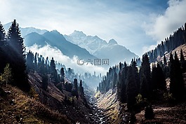 自然,景觀,山