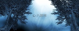 樹,光,幻想