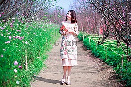 自然,戶外,花