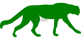 獵豹,側影,動物