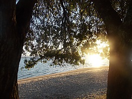 性質(zhì),海灘,背包