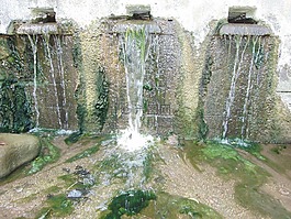 水,瀑布,過獨(dú)身生活