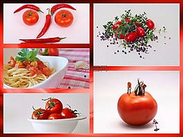 拼貼畫,蕃茄,蔬菜