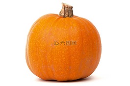 秋,秋天,食品