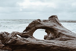 海,海洋,水