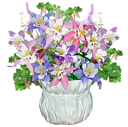鮮花,花瓶,春