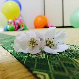 垫,绿色,白