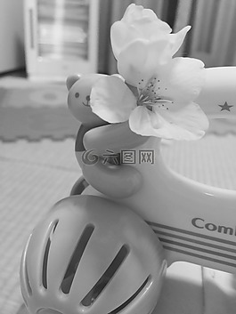 玩具,花卉,白