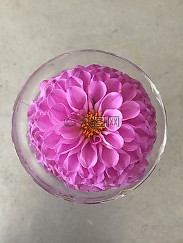 花,花瓶,夏天花