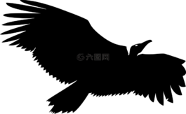 兀鷲,側影,黑